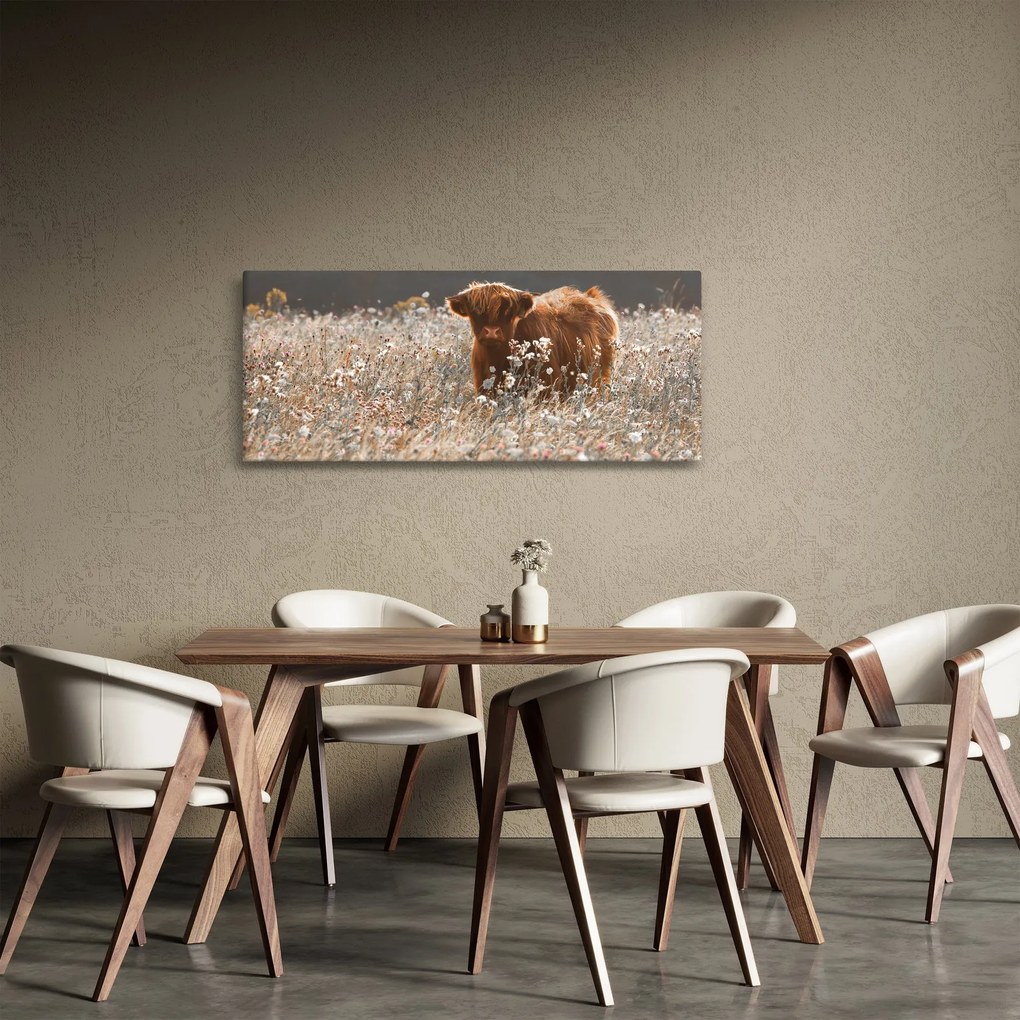Obraz - Škótska krava v kvete (120x50 cm)