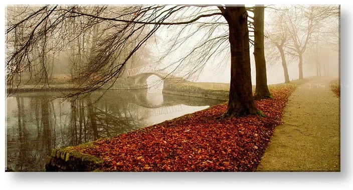 Obraz na stenu PANORÁMA STROMY | rôzne rozmery