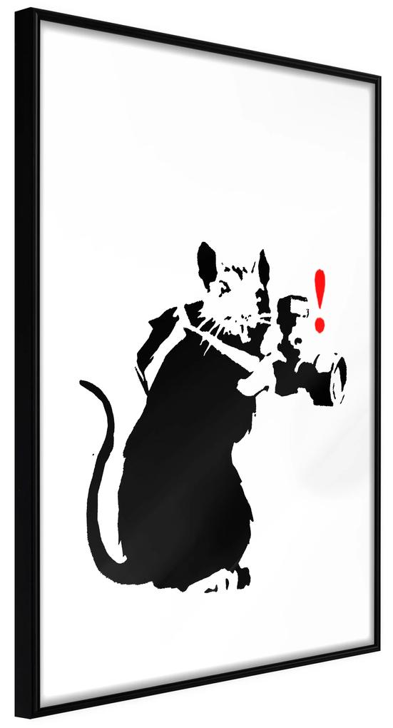 Artgeist Plagát - Rat Photographer [Poster] Veľkosť: 30x45, Verzia: Čierny rám s passe-partout