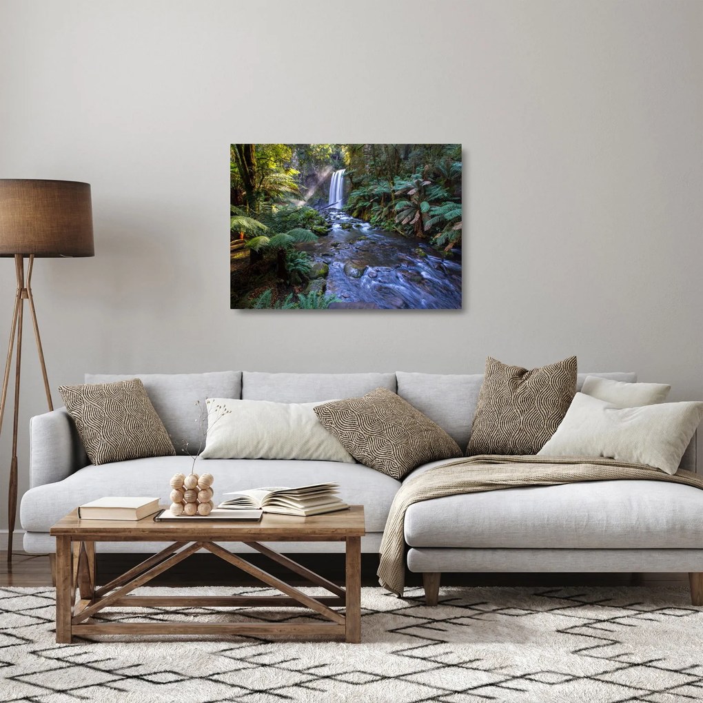 Sklenený obraz australského dažďového lesa (70x50 cm)