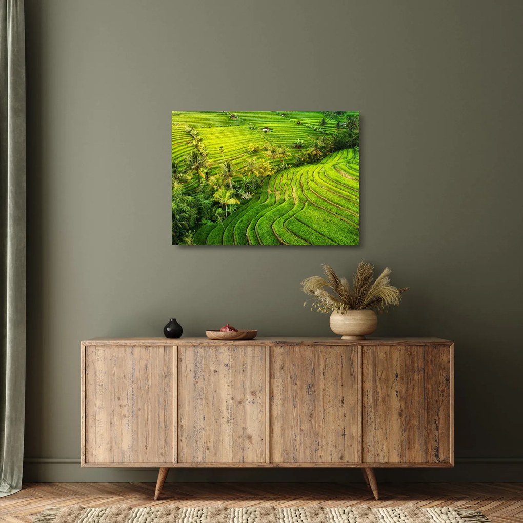 Sklenený obraz - Ryžové terasy (70x50 cm)