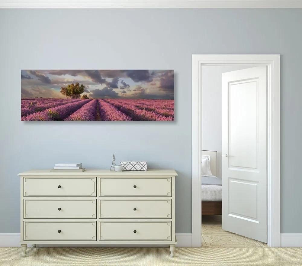 Obraz krajina levanduľových polí Varianta: 120x40