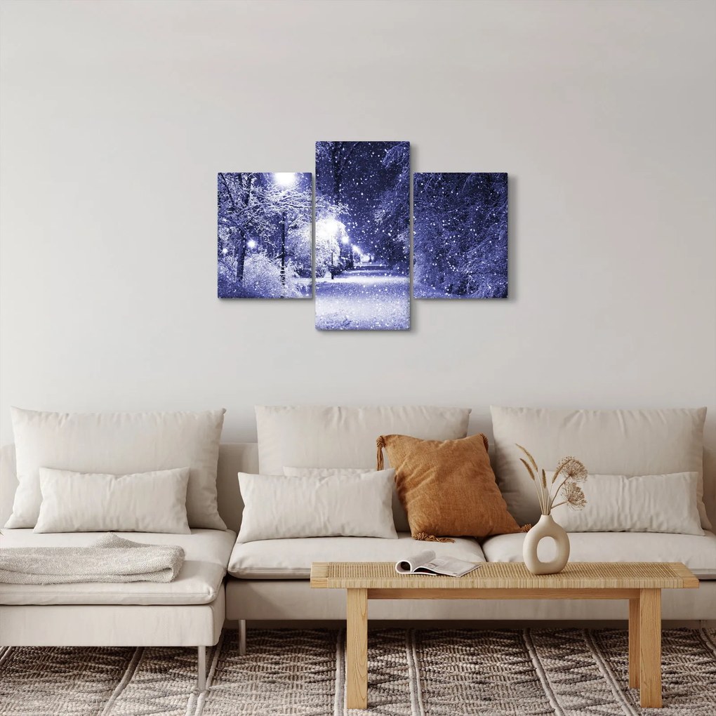 Obraz - Čarovná zimná noc (90x60 cm)