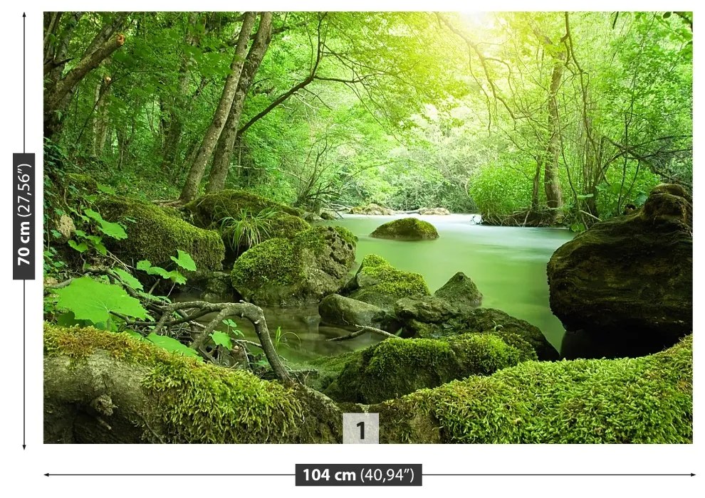 Fototapeta Vliesová Lesná rieka 152x104 cm