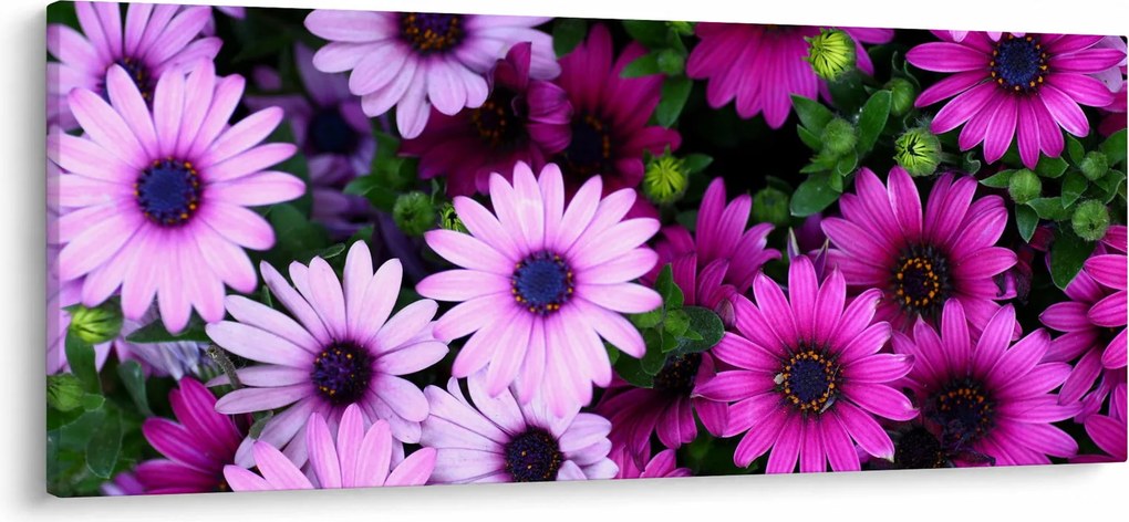 Obraz - Kvety (120x50 cm)