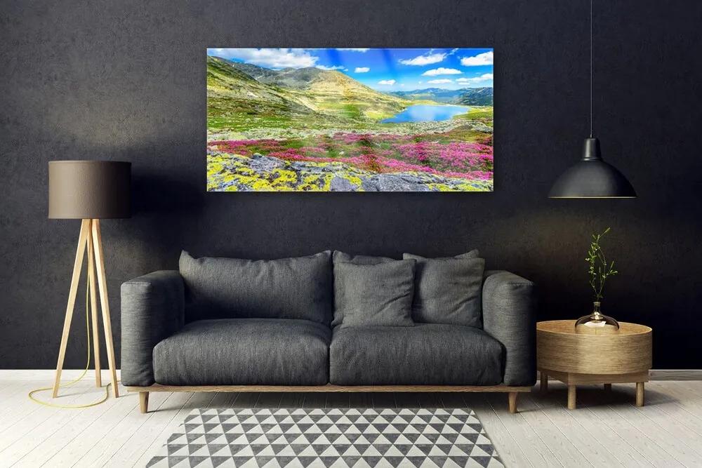Obraz na akrylátovom skle Hora záliv lúka príroda 120x60 cm