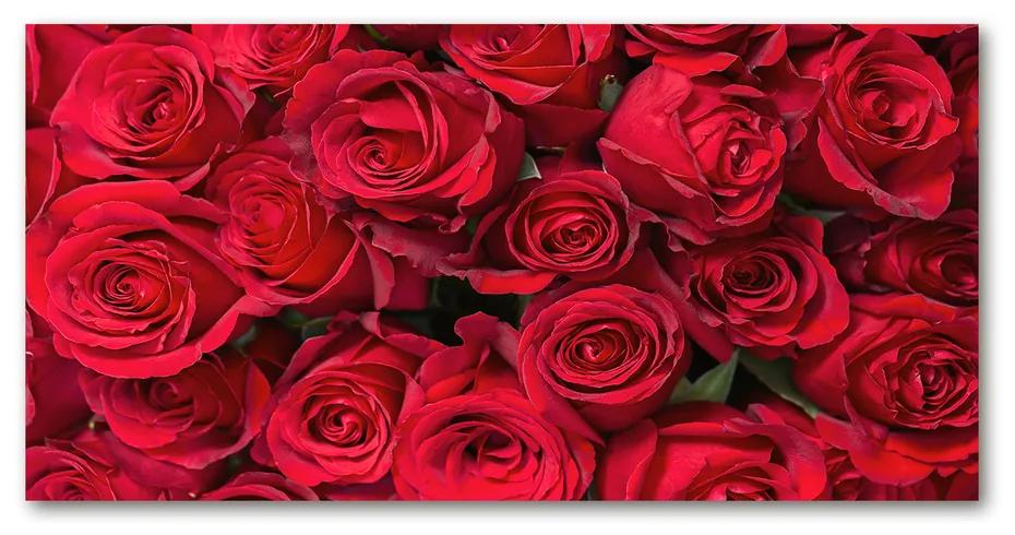 Foto obraz akrylový Červené ruže pl-oa-140x70-f-67561194