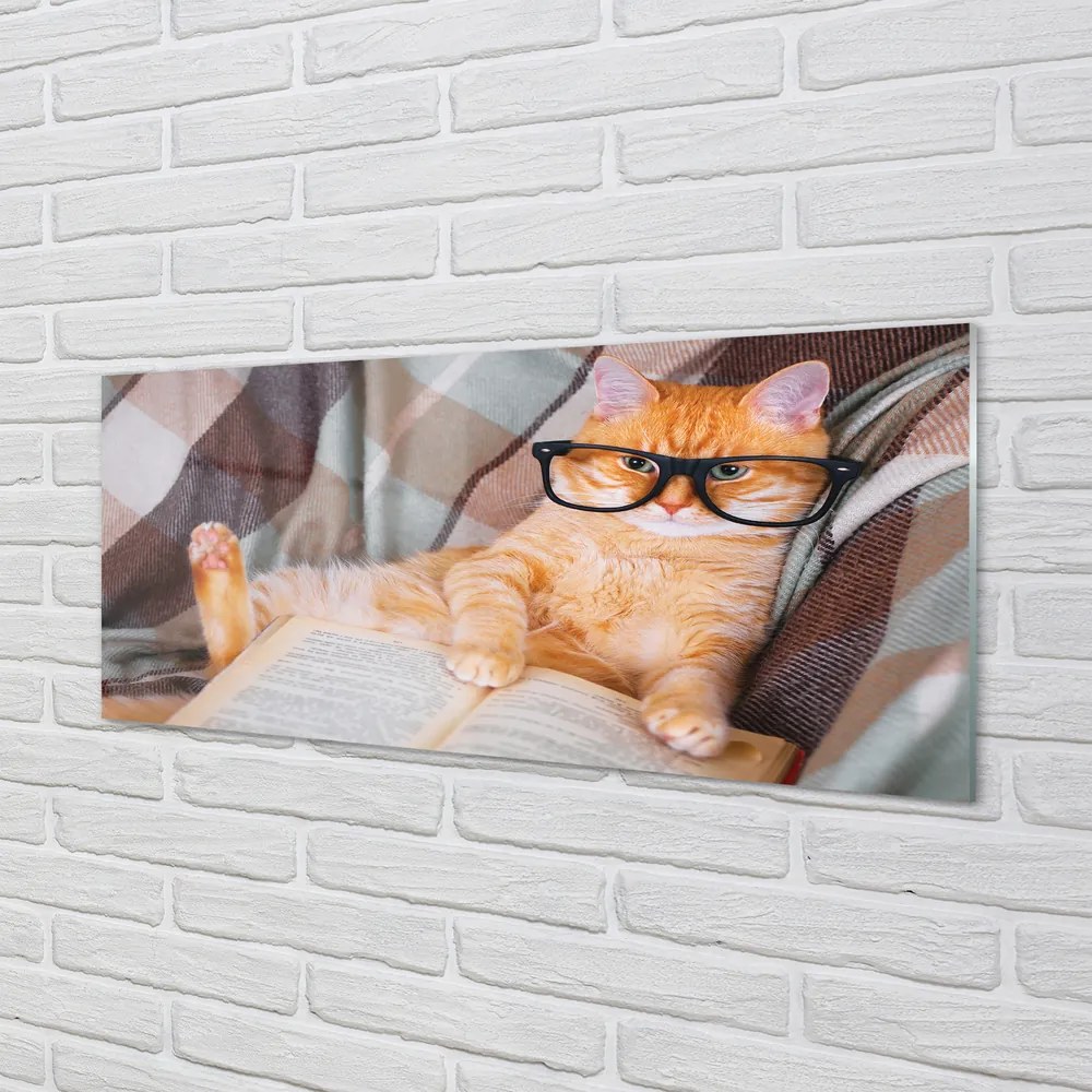 Obraz na akrylátovom skle Čitateľ cat 120x60 cm