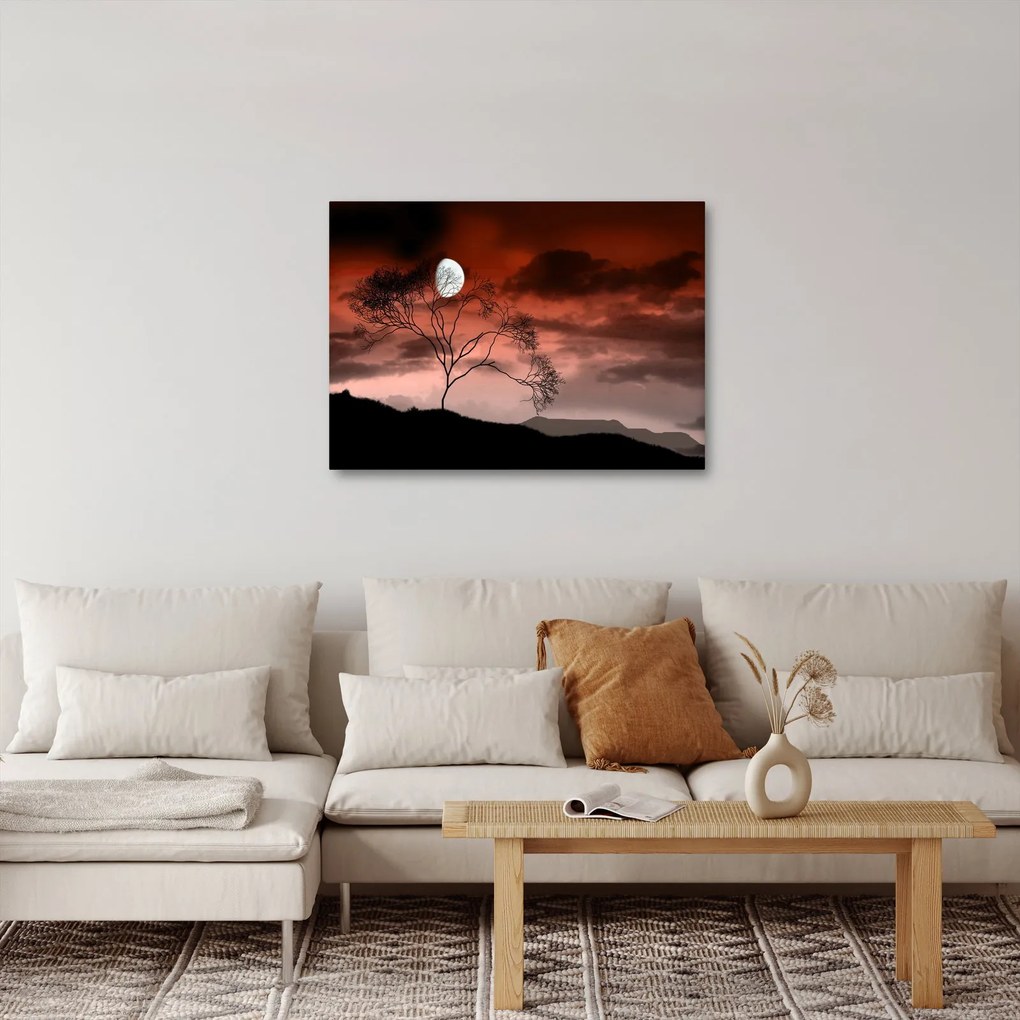 Obraz - Mesiac osvetľujúce noc (70x50 cm)