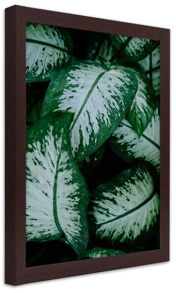 Gario Plagát Zelené tropické rastliny Farba rámu: Bez rámu, Rozmery: 30 x 45 cm