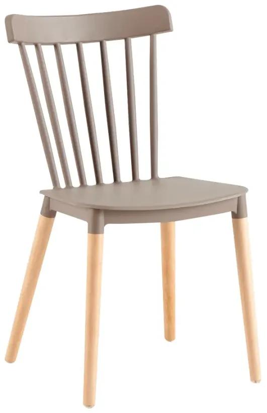 Jedálenská stolička, sivá/buk, ZOSIMA