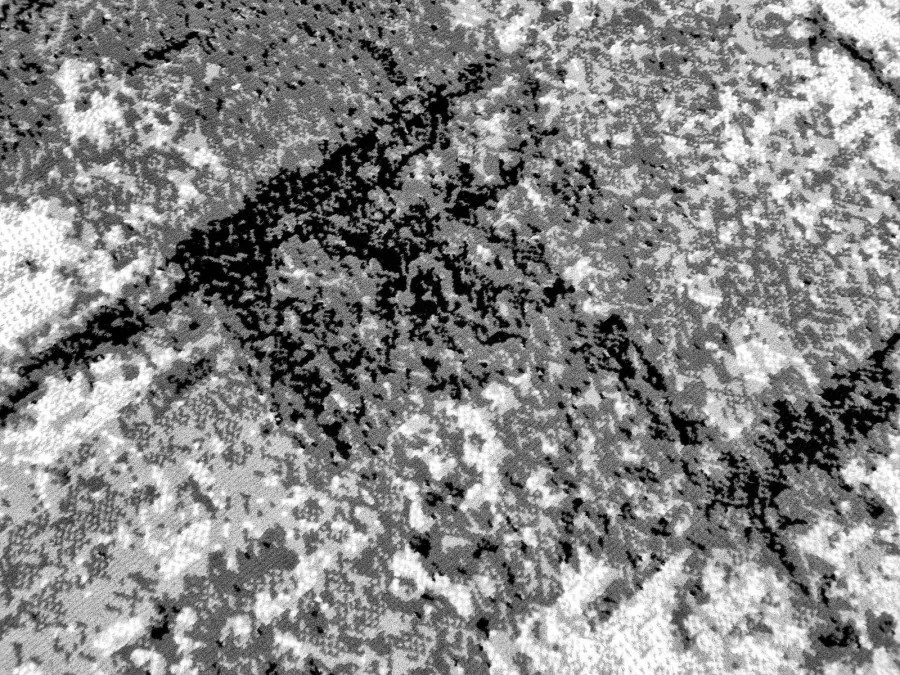 DC Koberec PP 016 sivá Rozmer: 160×220 cm