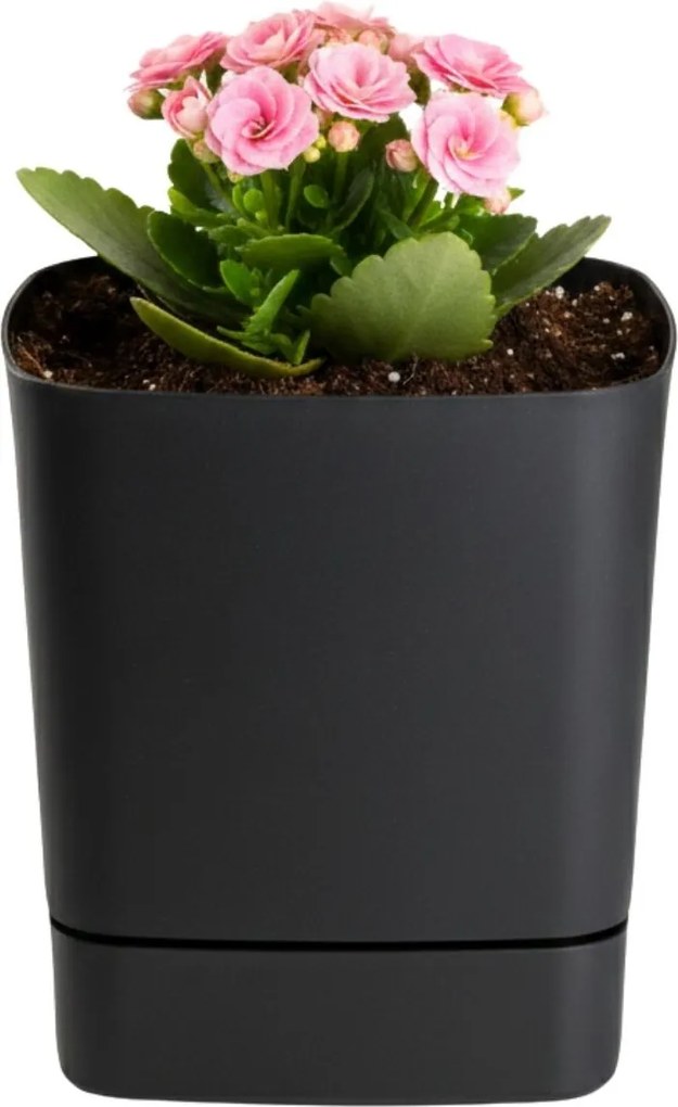 Plastový květináč s podmiskou Cubi 16x16 cm - výber z 6 prevedení