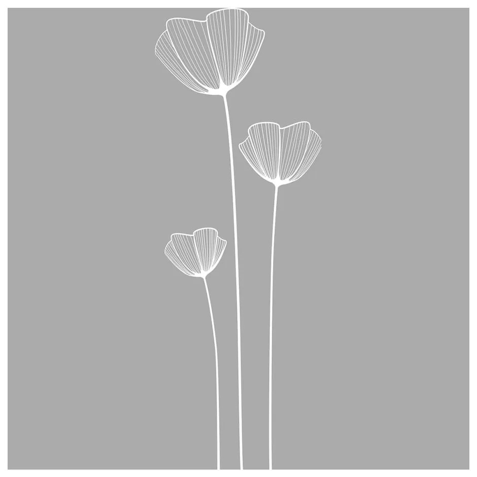 Samolepka na dvere do sprchy Ambiance Poppy Flowers
