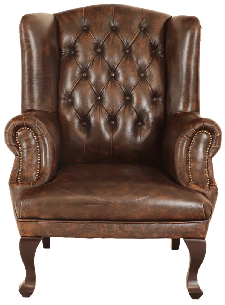 furniture-nabytek.cz - Křeslo Brusel z pravé hovězí kůže