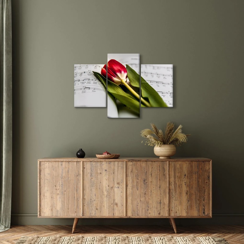 Obraz červeného tulipánu (90x60 cm)
