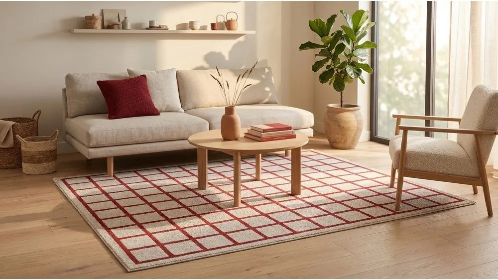 Červený/béžový koberec 160x230 cm Picnic – ESTE