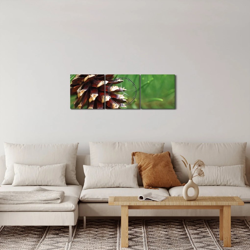 Obraz šišky (s hodinami) (90x30 cm)