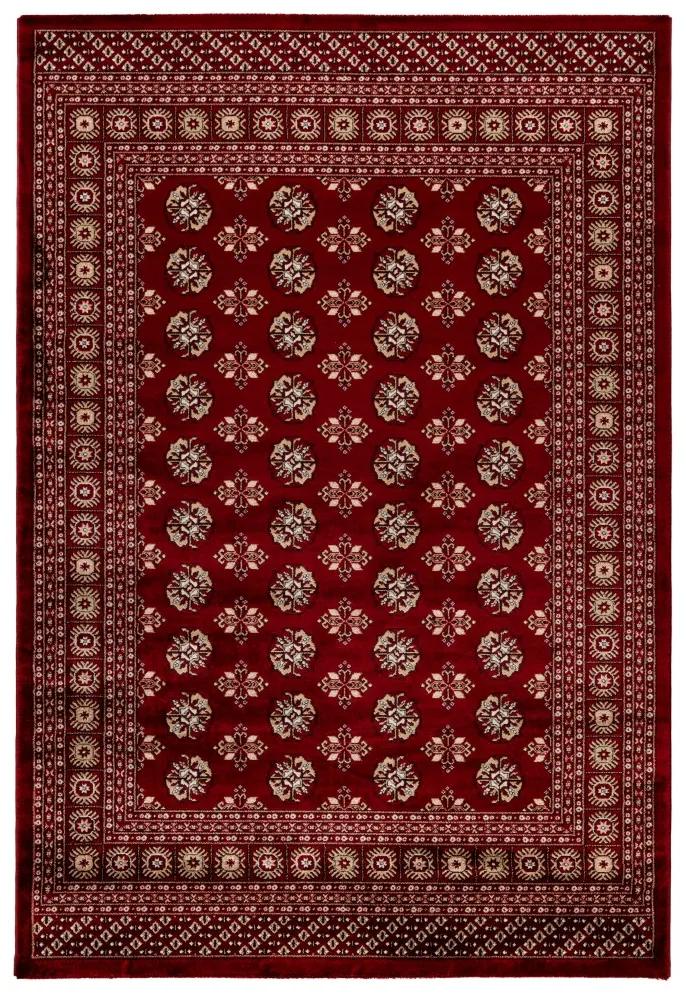 Obsession koberce Kusový koberec My Ariana 880 red - 240x340 cm