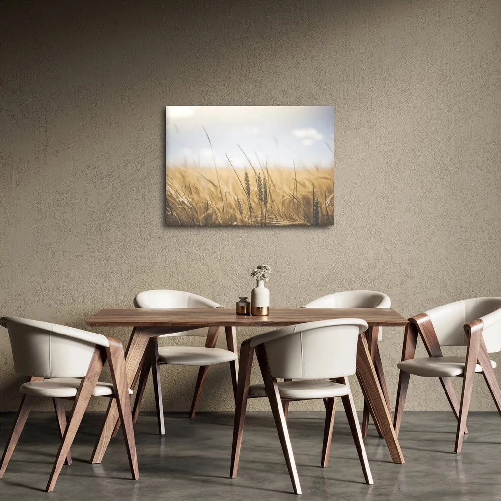 Obraz obilia (70x50 cm)