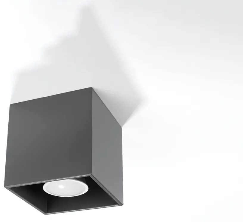 Stropné svietidlo Quad, 1x tmavosivé kovové tienidlo