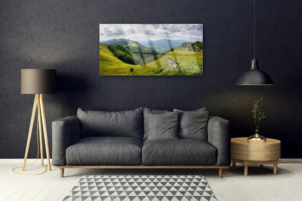 Obraz na skle Hora lúka krajina 120x60 cm