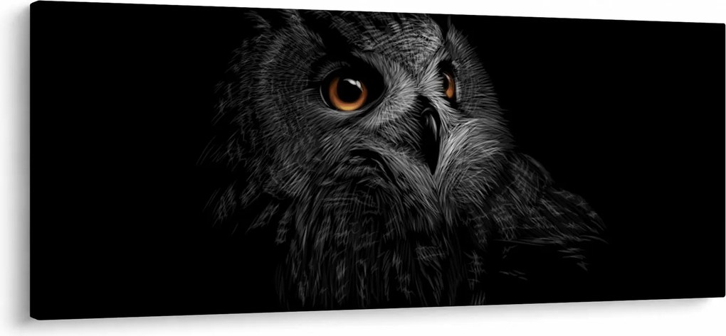 Obraz - Sova, ilustrácie (120x50 cm)