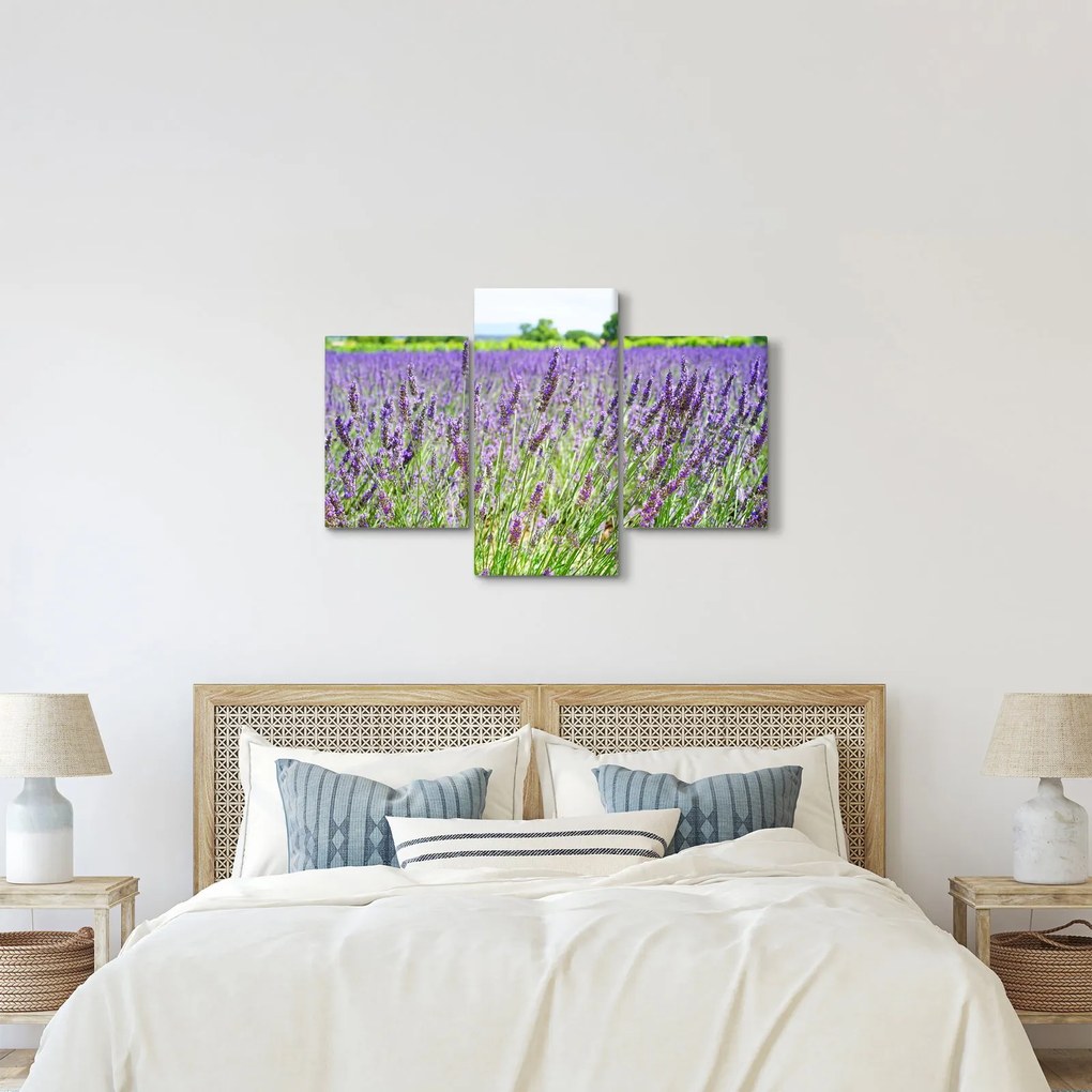 Obraz poľa s levanduľou (90x60 cm)