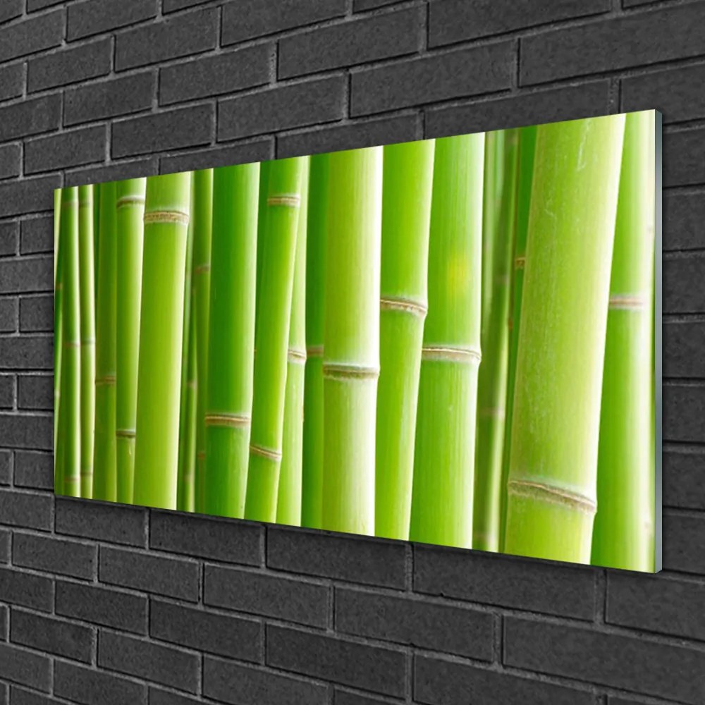 Obraz na skle Bambus stonka kvet rastlina 140x70 cm