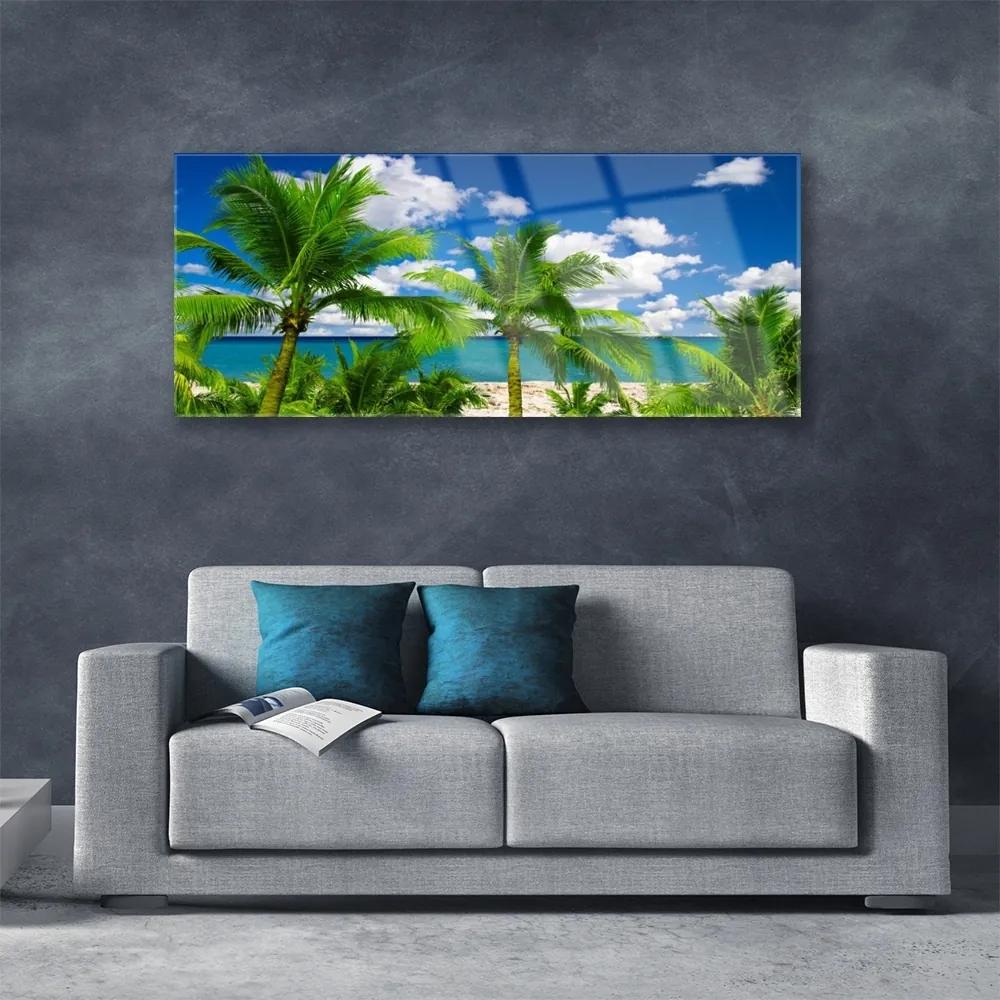 Obraz plexi More palma stromy príroda 125x50 cm