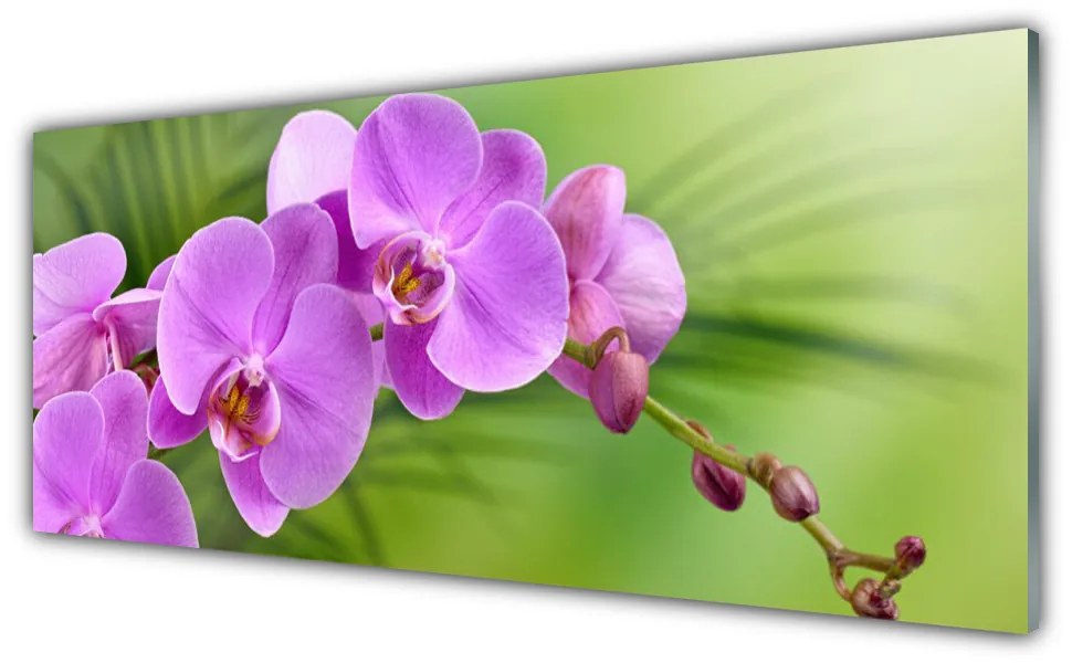 Obraz plexi Vstavač orchidea kvety 125x50 cm