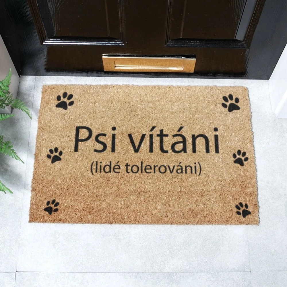Rohožka z kokosového vlákna 40x60 cm Psi vítáni – Artsy Doormats