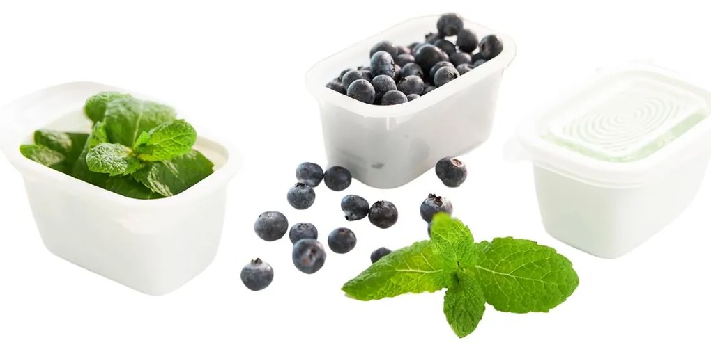 Plastové boxy do mrazničky, Rotho FREEZE, biela, sada 4 x 0,5l (16x11x6)