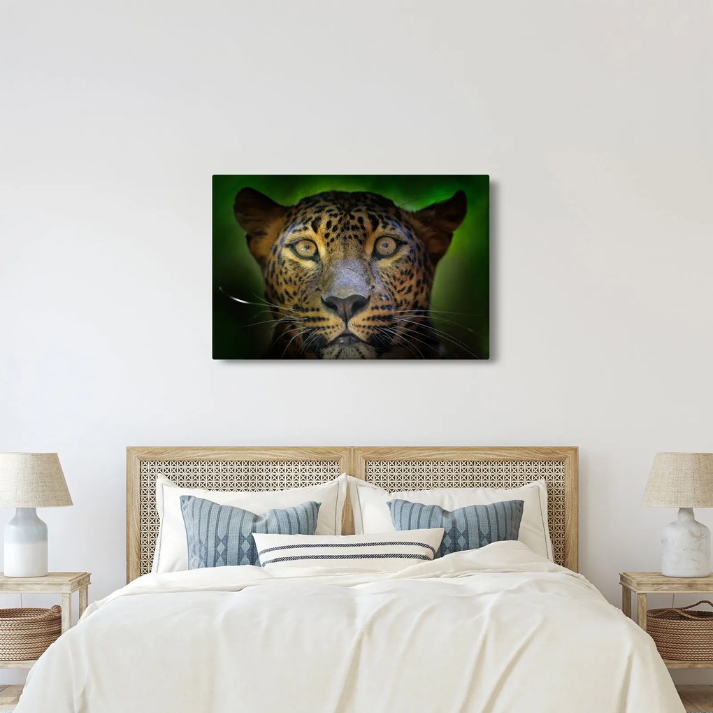 Obraz - Portrét leoparda, Sri Lanka (90x60 cm)