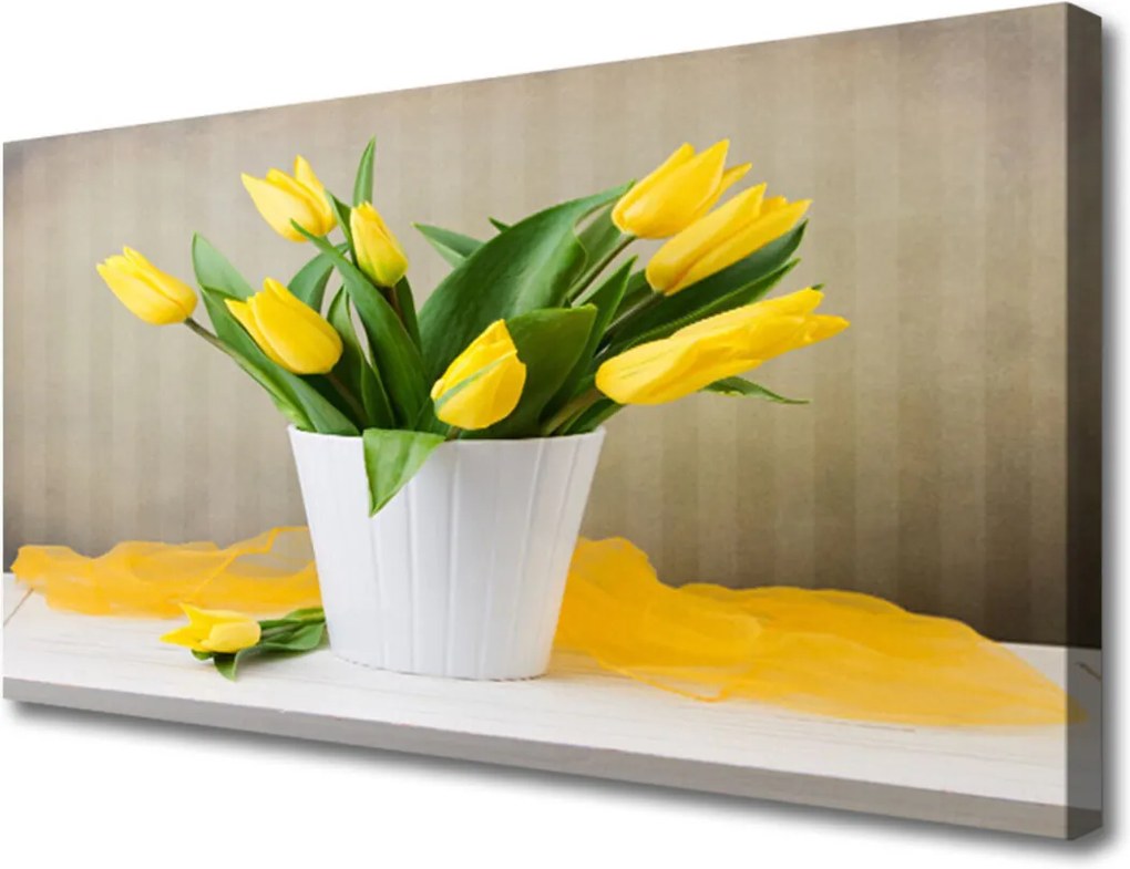 Obraz Canvas Tulipány květiny rostlina