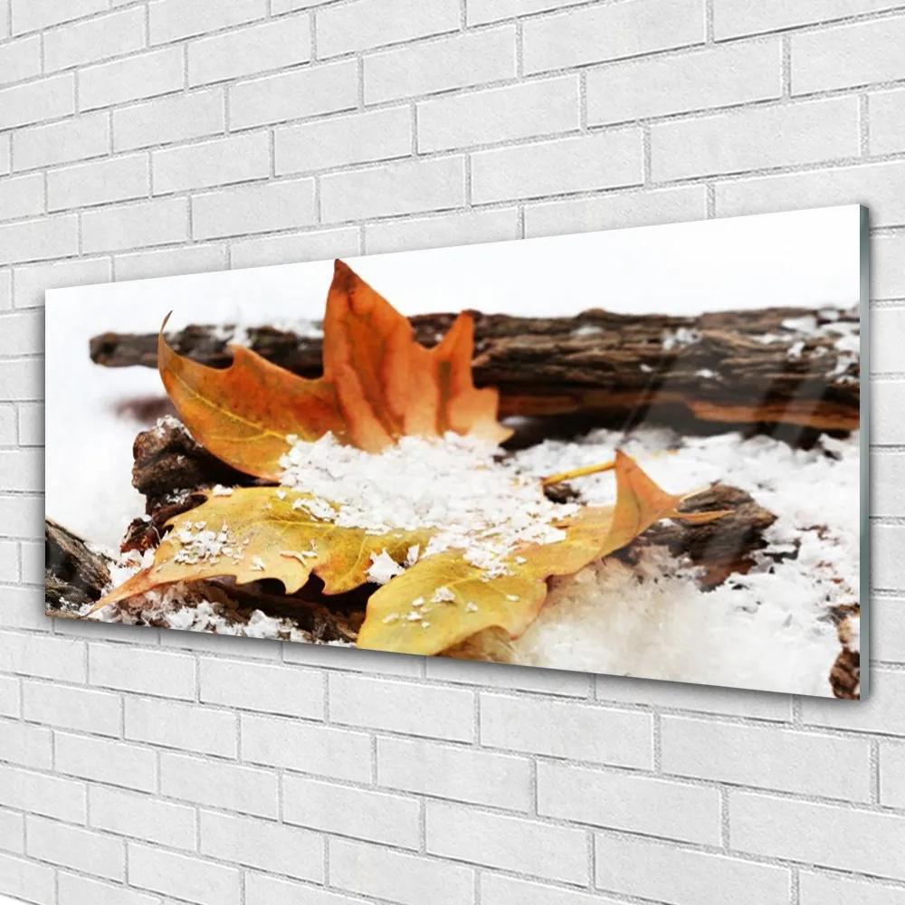 Obraz plexi List les jeseň príroda 125x50 cm