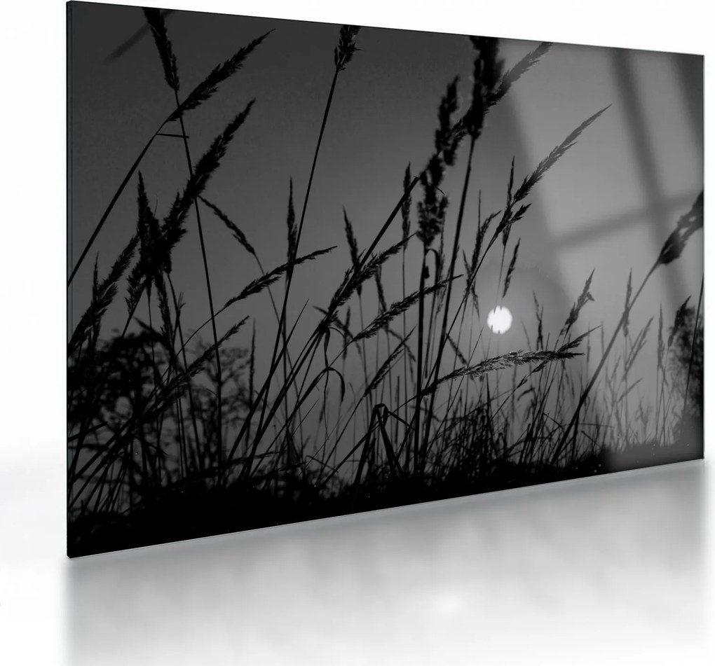 Sklenený obraz - Lúka so západom slnka (70x50 cm)