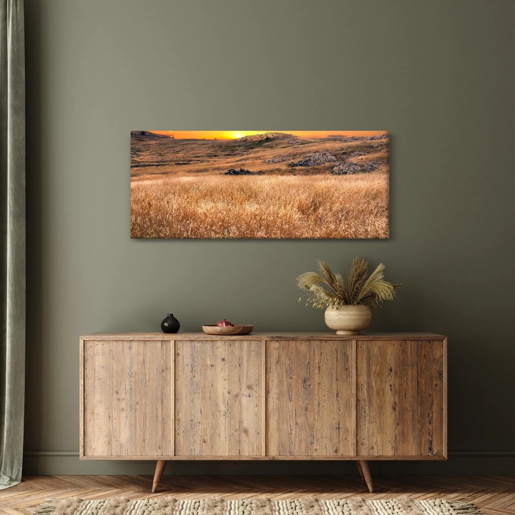 Obraz pole (120x50 cm)