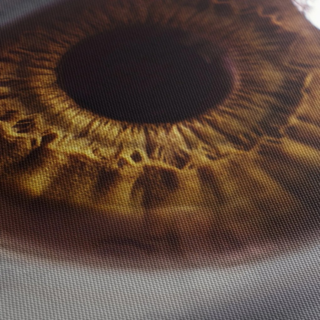 Obraz - Oko (120x50 cm)