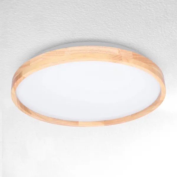 Brilagi - LED Stmievateľné stropné svietidlo ALSON LED/48W/230V 3000-6500K + DO