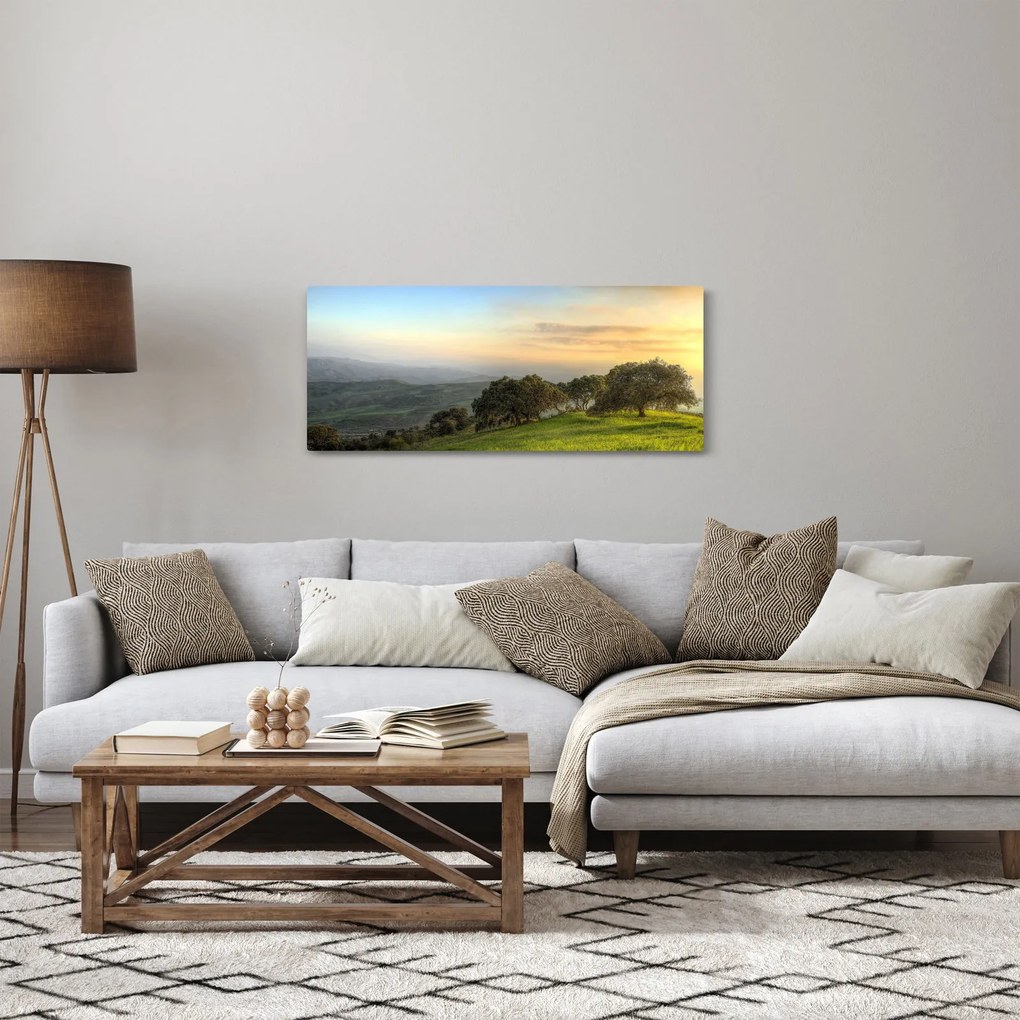 Obraz - Výhľad z kopca (120x50 cm)