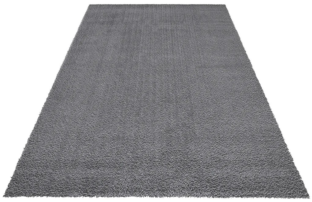 Festival koberce Kusový koberec Delgardo K11501-04 Silver - 60x110 cm