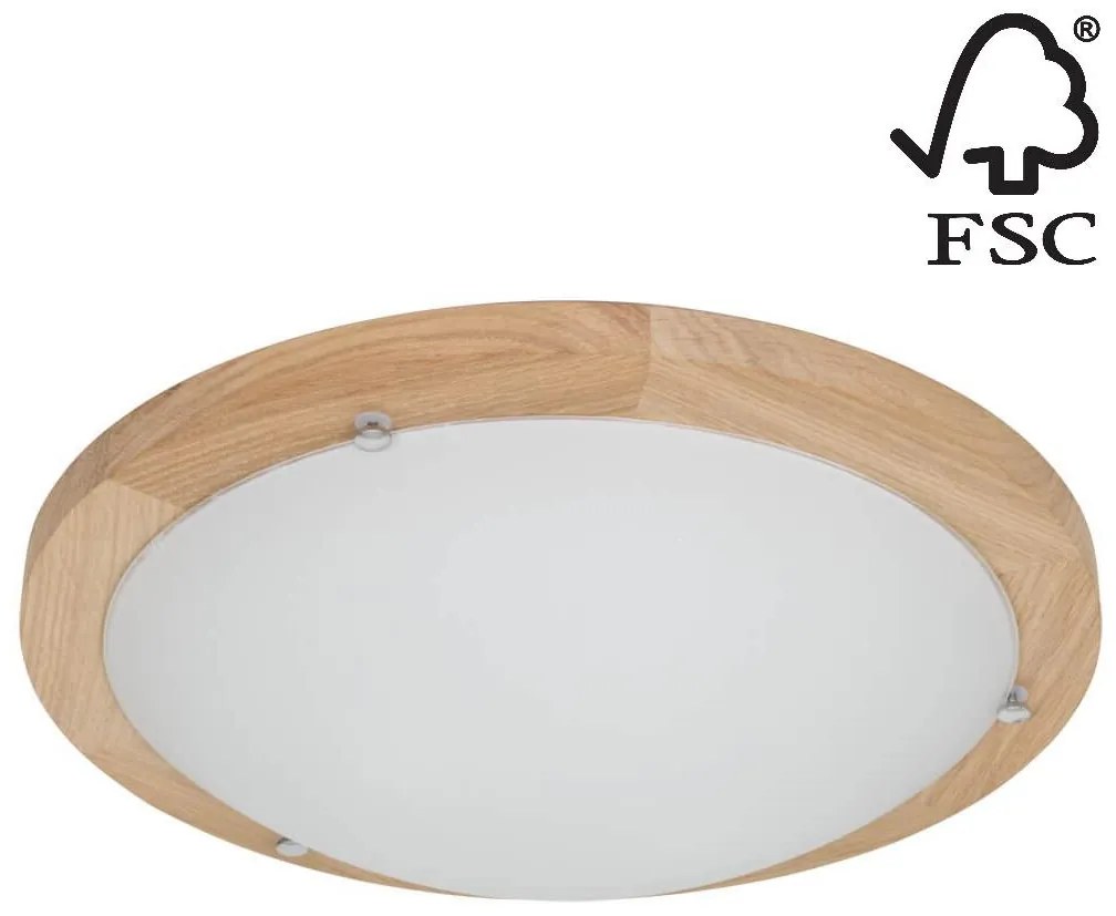 Spot-Light 4753474 - Stropné svietidlo FRIDA 2xE27/40W/230V