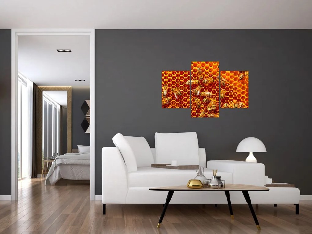 Obraz - Medový plást (90x60 cm)