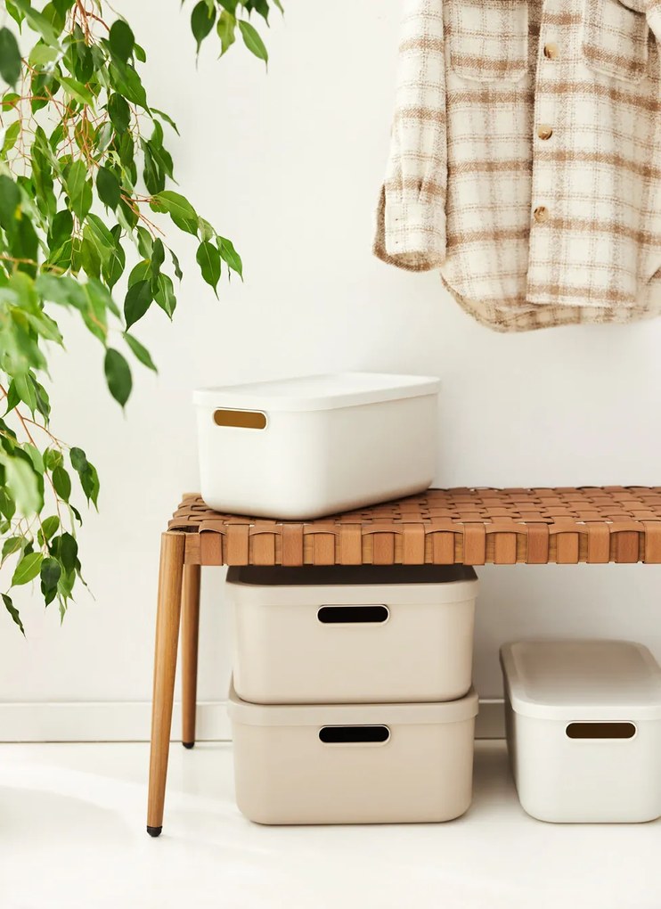 Rotho Úložný box, rovný s vekom, 20 l, cappuccino ALBU LIGHT, 40 x 36 x 18 cm