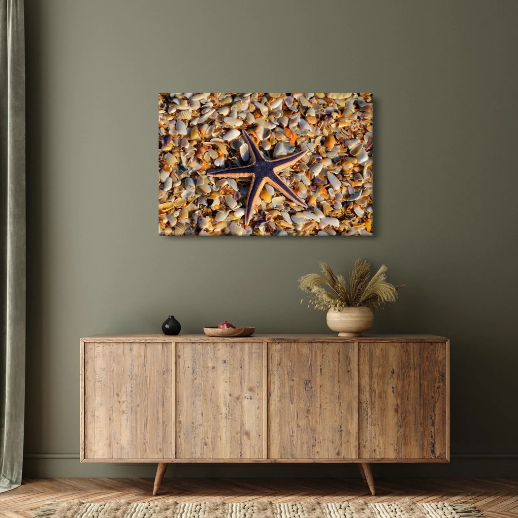 Obraz morskej hviezdice (90x60 cm)