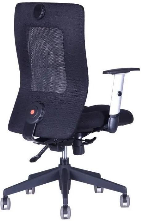OFFICE PRO -  OFFICE PRO Kancelárska stolička CALYPSO XL BP sivá svetlá