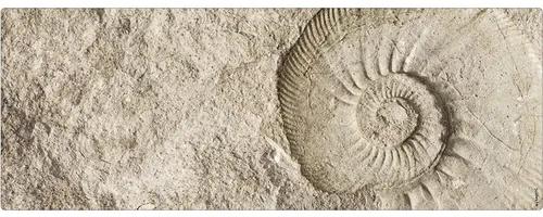 Obklad do kúpeľne mySPOTTI aqua Fossil 120x45 cm