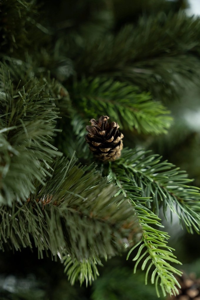 Vianočný stromček s 3D- Sosna Pola 170 cm