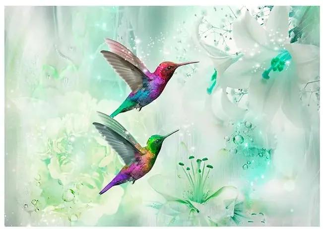 Samolepiaca fototapeta - Colourful Hummingbirds (Green) Veľkosť: 294x210, Verzia: Samolepiaca